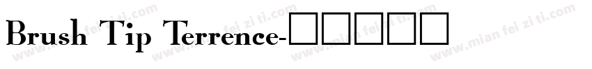 Brush Tip Terrence字体转换